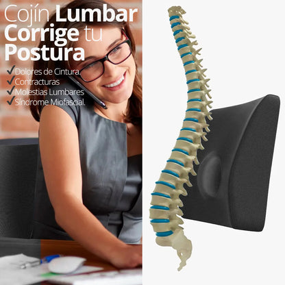 Cojín Ortopédico Lumbar Espuma Therashape TM322 - TOPMEDIC